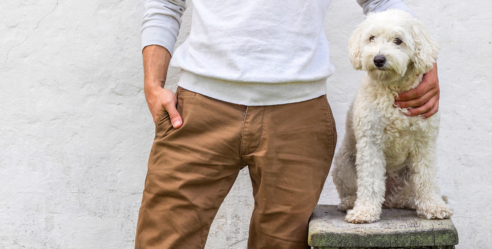 A man with a poodle, contemplating by a wall during our extended stay at home.