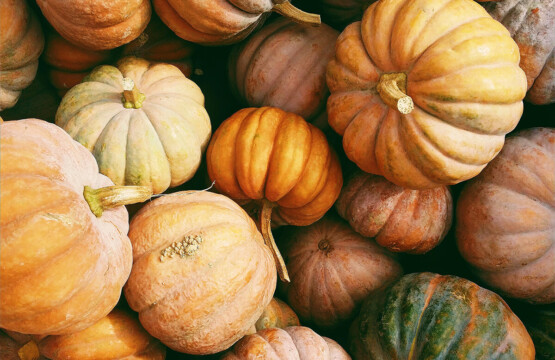 Pumpkins_kerstin